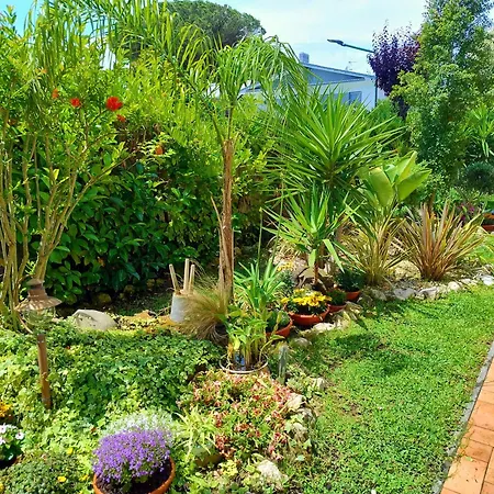 Holiday home Relais Casa Moresca